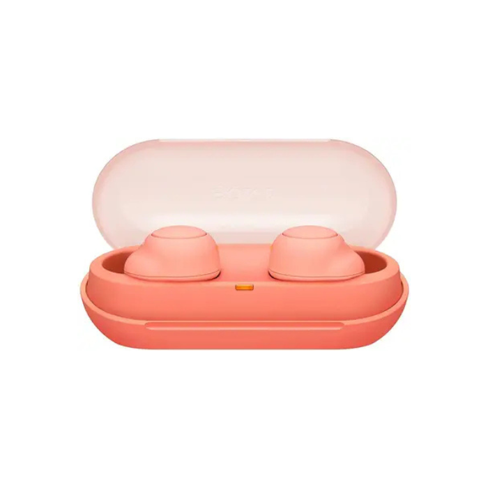 Sony WF-C500 True Wireless Earbuds