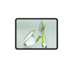 OnePlus Pad Go Tablet